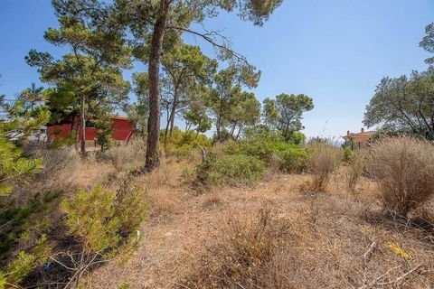 Calvia - Cala Vinyes Grundstücke, Calvia - Cala Vinyes Grundstück kaufen