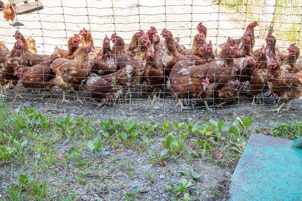 3203 übernehmbare Bewohner