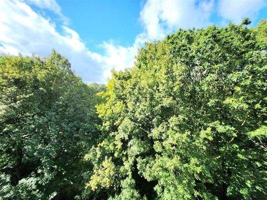 Balkon / Loggia mit Blick ins Grüne