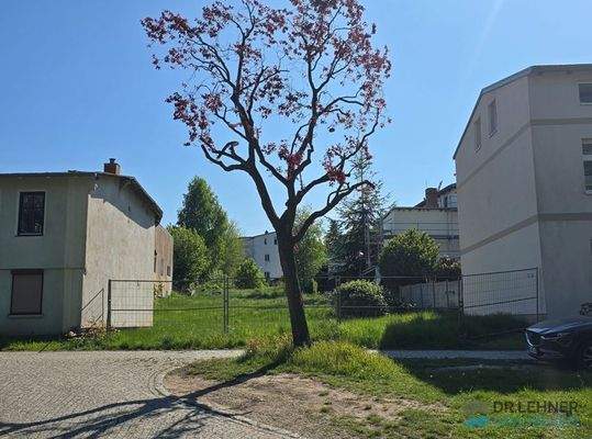 Attraktive Baulücke in der Neuen Reihe