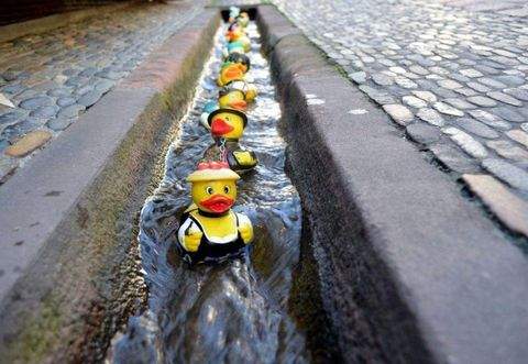 Freiburg im Breisgau Wohnungen, Freiburg im Breisgau Wohnung kaufen