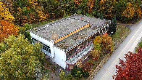 Birkenfeld Renditeobjekte, Mehrfamilienhäuser, Geschäftshäuser, Kapitalanlage