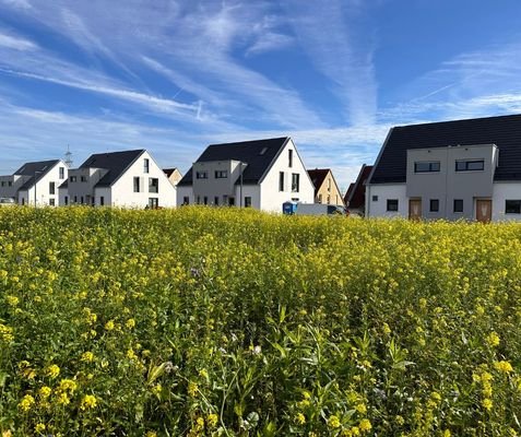 Reitersbergstraße - Baustelle im Oktober 2024 