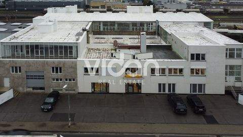 Neuss Halle, Neuss Hallenfläche