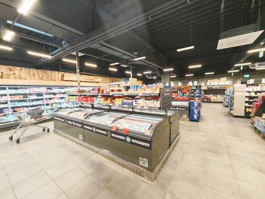 Netto Tiefkühlbereich