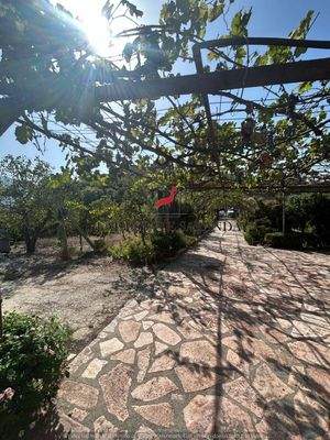 WhatsApp Image 2024-09-06 at 10.28.48.jpeg