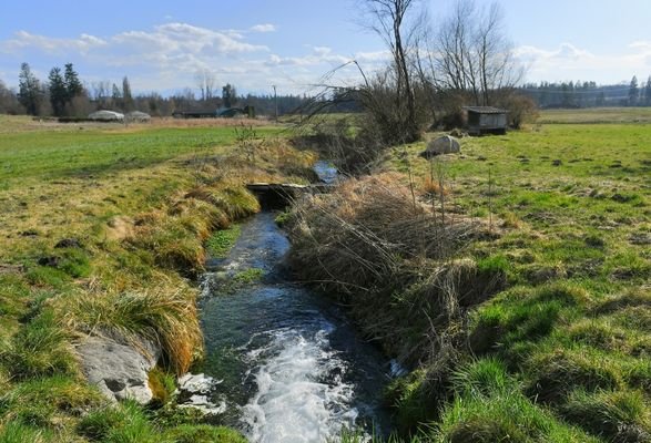 Bachlauf