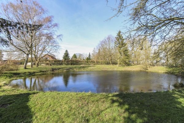 Garten und Teich