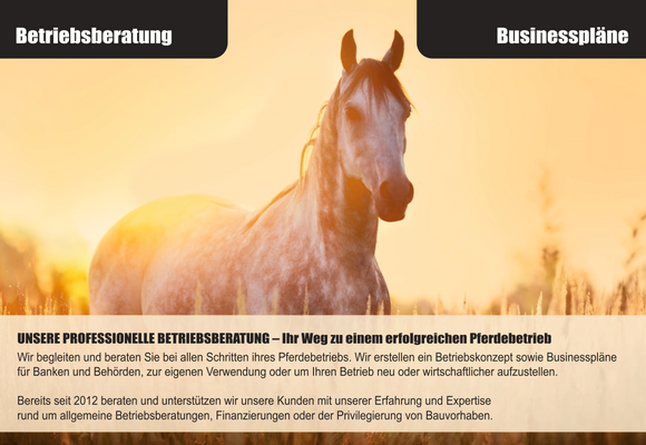 BEtriebsberatung+.png
