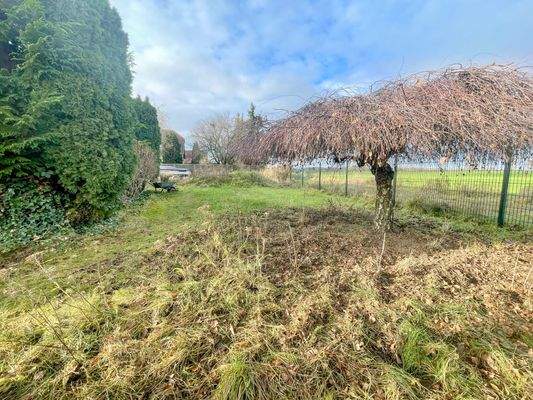 Weitblick auf das Feld