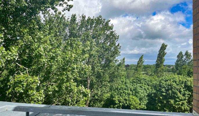 Nord-Blick von der Dachterrasse