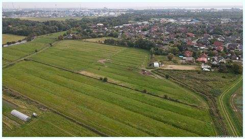 Brunsbüttel Bauernhöfe, Landwirtschaft, Brunsbüttel Forstwirtschaft