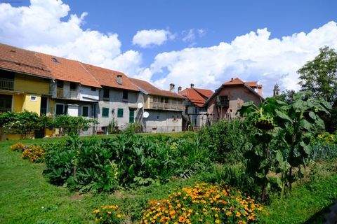 Sassello Häuser, Sassello Haus kaufen