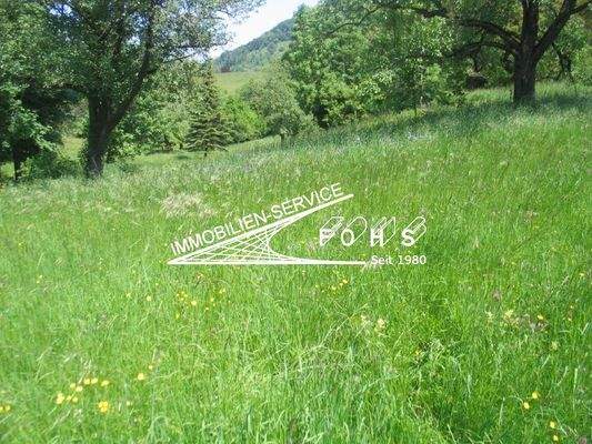 +Bad-Überk.Flur 220-4=3.245 m²Hinter dem Weiler 13