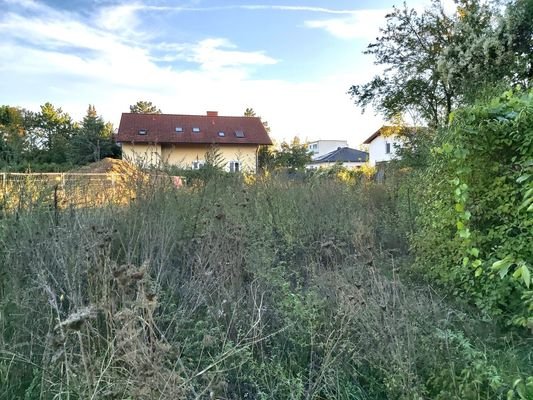 Blick von der Straße auf das Grundstück