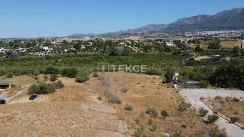 Málaga Bauernhöfe, Landwirtschaft, Málaga Forstwirtschaft