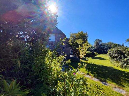 33d) IMG_20250701_094938.jpg