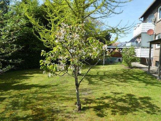 Gemeinschaftsgarten2