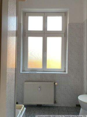 WC-Fenster