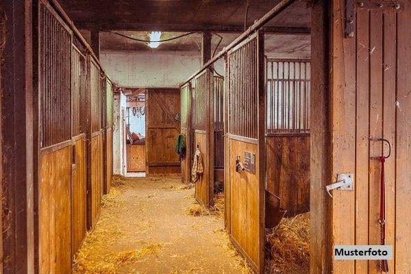 Keine Originalbilder