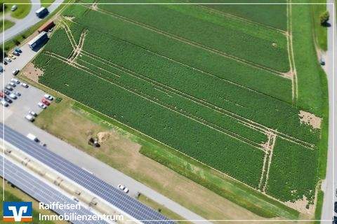 Aiterhofen Bauernhöfe, Landwirtschaft, Aiterhofen Forstwirtschaft