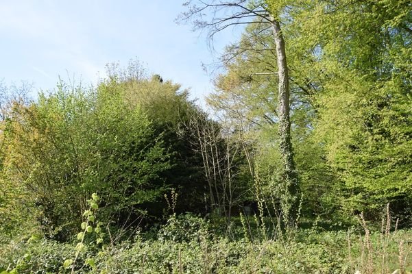 Baugrundstück