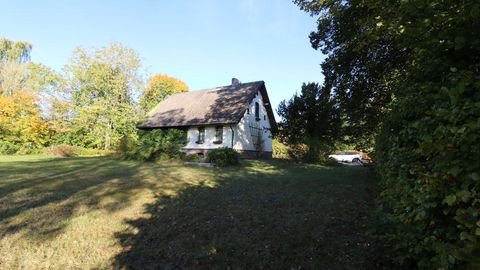 Oberharz am Brocken Häuser, Oberharz am Brocken Haus kaufen