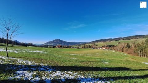 Oberwang Wohnungen, Oberwang Wohnung kaufen