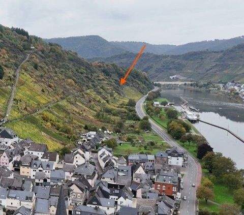 Sankt Aldegund Bauernhöfe, Landwirtschaft, Sankt Aldegund Forstwirtschaft