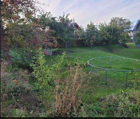 d1fa0bad36630cbf72de80a6a827b3