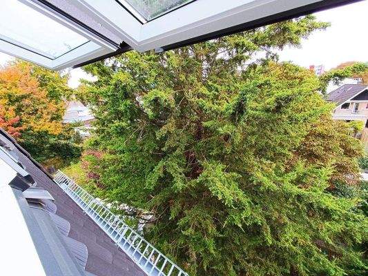 Ausblick Schlafzimmer