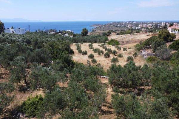 Kreta, Kalathas: Grundstück mit Meerblick in der Nähe des Strandes zu verkaufen