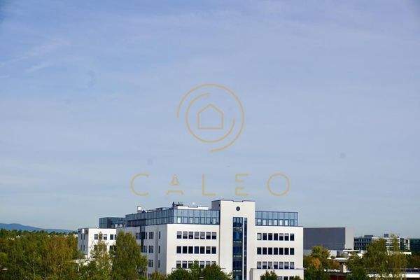 modern und repräsentativ 1