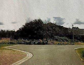 Blick auf das Grundstück