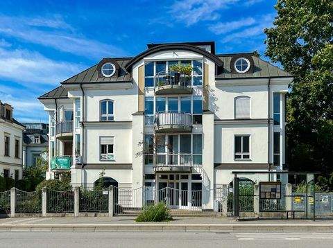 Dresden Ladenlokale, Ladenflächen 