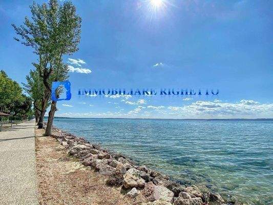 95784348_10222628817653421_7411571582327324672_n.j