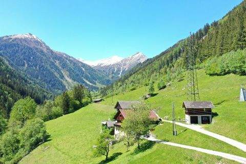 Flattach Bauernhöfe, Landwirtschaft, Flattach Forstwirtschaft