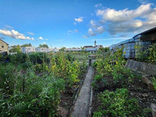 Aussicht rückwärtiger Garten