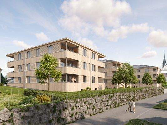 Moderne Mehrfamilienhäuser mit Holzfassaden und Balkonen, umgeben von grünen Flächen und einer Steinmauer (Riedstrasse, Hohenweiler).