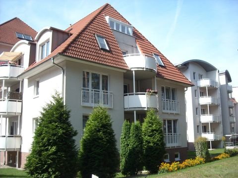 Dessau-Roßlau Wohnungen, Dessau-Roßlau Wohnung mieten