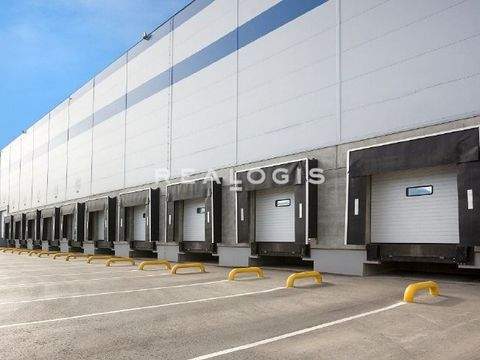 Rastatt Halle, Rastatt Hallenfläche