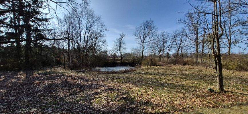 Blick von der Terrasse in den Garten 