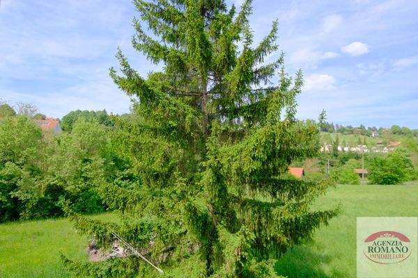 38-Rif 1522(Copy65).jpg.jpg