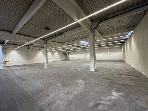 Bamberg Halle, Bamberg Hallenfläche