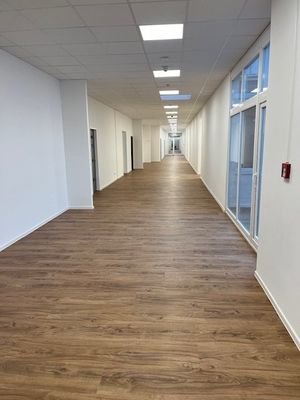 Bild5