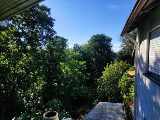 OG. Aussicht vom Balkon