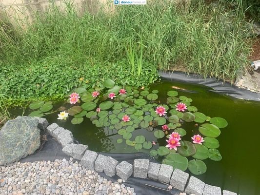 Bild 18