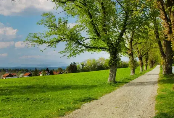 wenige Minuten zur Lindenallee