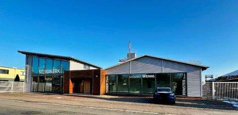 Ilmenau Halle, Ilmenau Hallenfläche