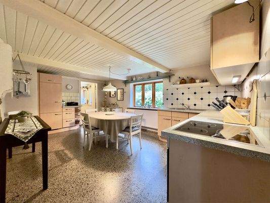 Ferienhaus Küche Ansicht 1